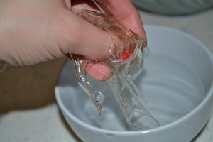 DSC_013111